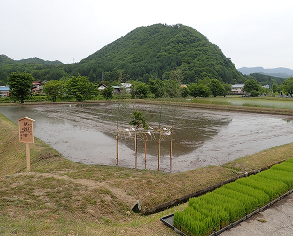 会津高原たていわ農産