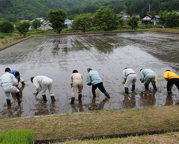 会津高原たていわ農産