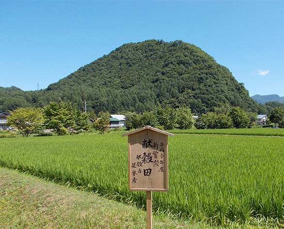 会津高原たていわ農産