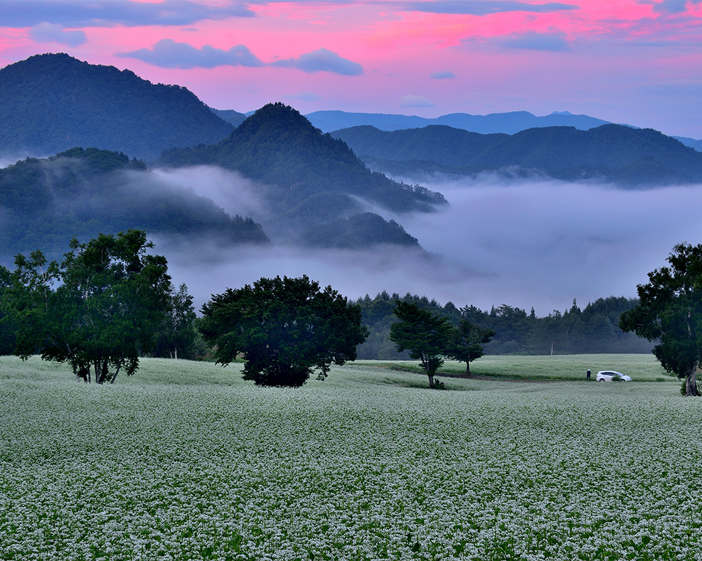 会津高原舘岩地区そば畑