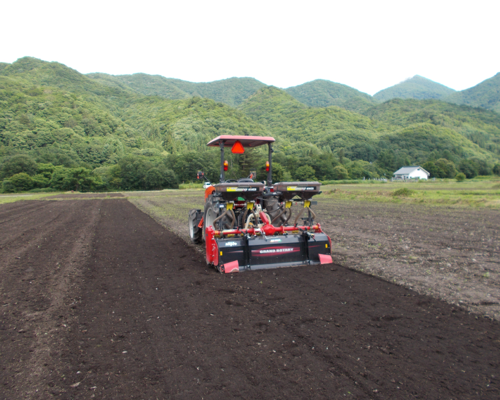 会津高原舘岩地区そば畑